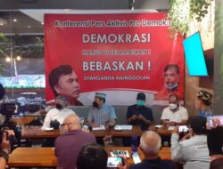 Petisi Aktivis Pro-Demokrasi Indonesia