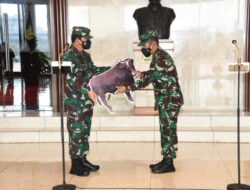Panglima TNI Serahkan Hewan Qurban Secara Simbolis