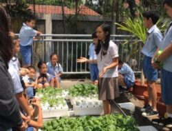 Kembangkan Sistem Tanam Sayur Sederhana,  Kontribusi Bagi Lingkungan dan Bangsa