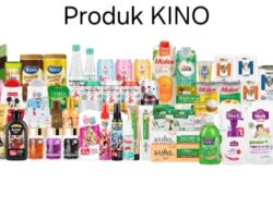 Kino Indonesia Rayakan HUT ke 25, Terus Menjaga Relevansi Produk dengan Inovasi dan Inisiatif yang Mendekatkan