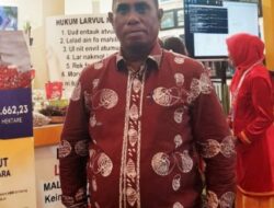 Budi Tofi Ungkap Potensi Pariwisata & Perikanan Maluku Tenggara