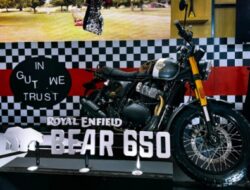 Royal Enfield Bear 650 Meluncur di IIMS 2026, Scrambler Baru Bernuansa Balap Gurun